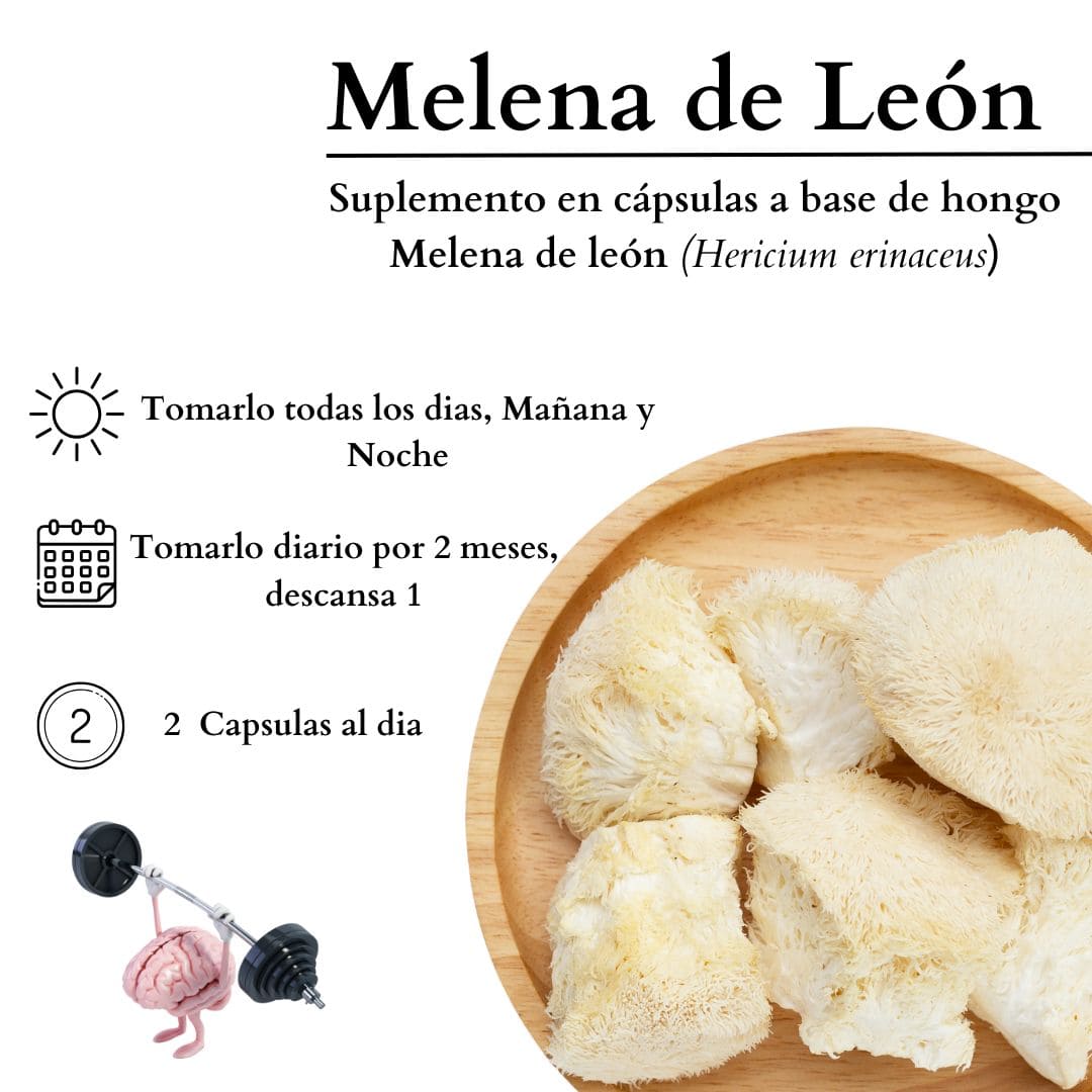 Melena de León | Activa tu Mente y Mejora tu Enfoque