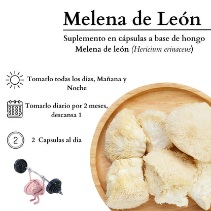 Melena de León | Activa tu Mente y Mejora tu Enfoque
